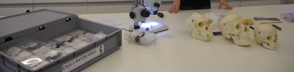 SCIENTIFIC PROJECT